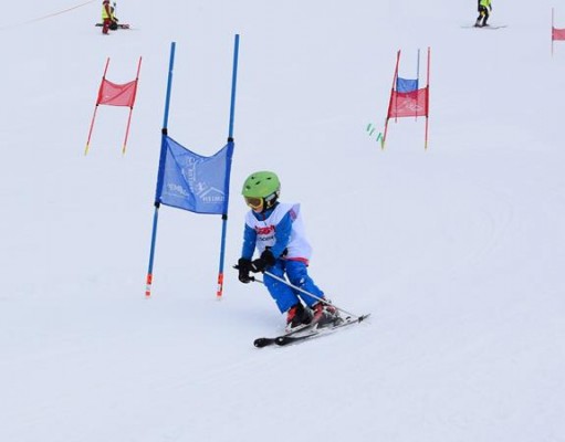 Normal x DSC 0853 (2)